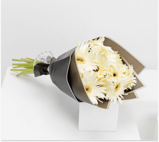 Cheerful White Gerbera Bouquet